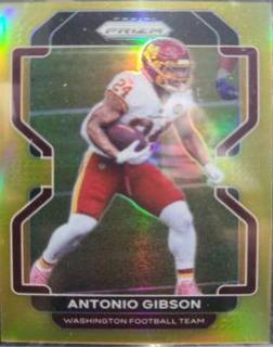 Antonio Gibson