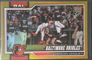 Team Card