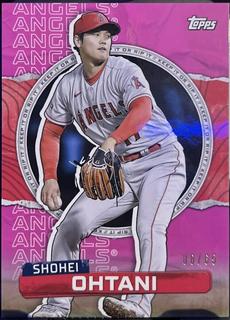 Shohei Ohtani