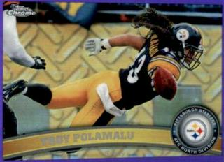 Troy Polamalu
