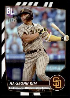 Ha Seong Kim