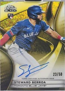 Steward Berroa