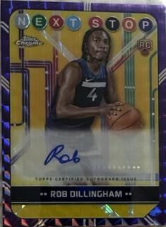Rob Dillingham