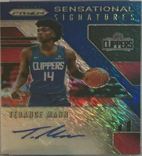 Terance Mann