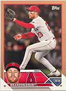 Brandon Drury