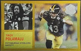 Troy Polamalu