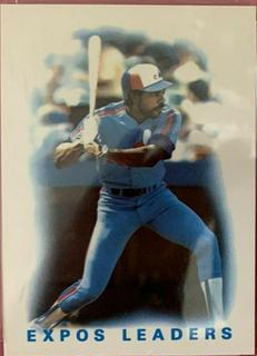 Expos Leaders