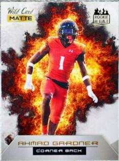 Ahmad Gardner