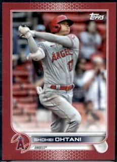 Shohei Ohtani