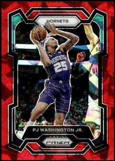 PJ Washington Jr.