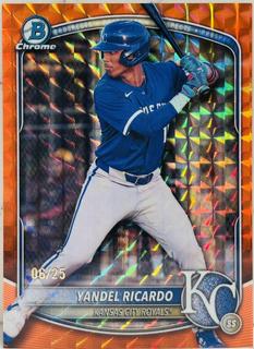 Yandel Ricardo