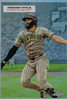 Tony Gwynn / Fernando Tatis Jr.