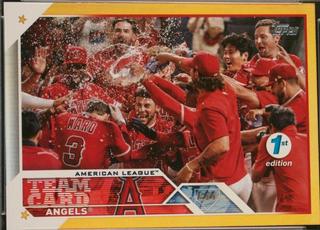 Los Angeles Angels