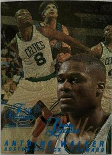 Antoine Walker