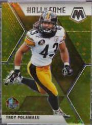 Troy Polamalu