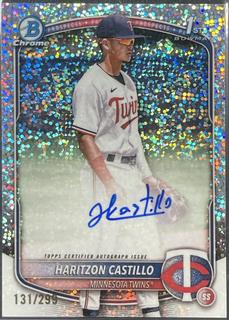Haritzon Castillo