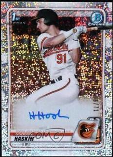 Hudson Haskin