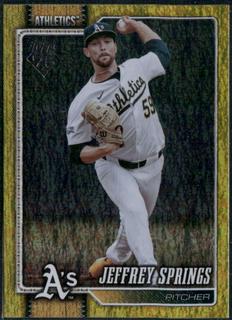 Jeffrey Springs