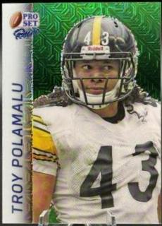 Troy Polamalu