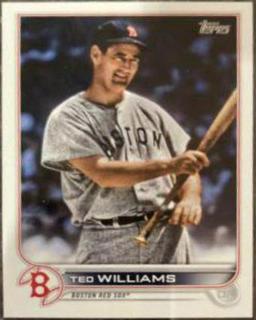 Ted Williams