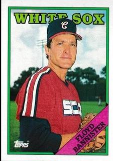 Floyd Bannister