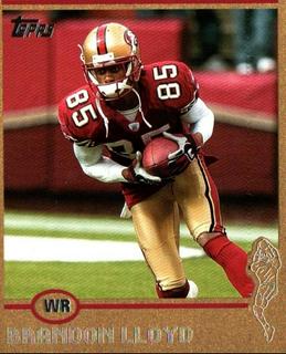 Brandon Lloyd