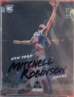 Mitchell Robinson