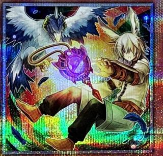 Droll & Lock Bird QCAC-JP070