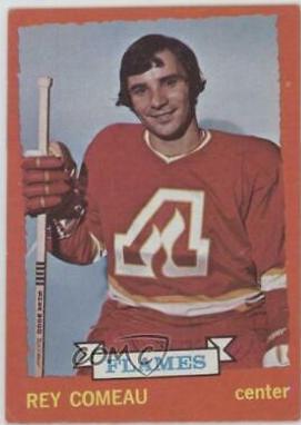 Rey Comeau #29 Hockey Cards 1973 Topps