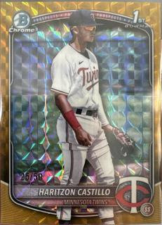 Haritzon Castillo