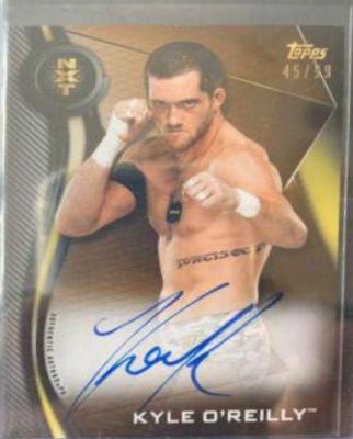 Kyle O'Reilly #A-KY Wrestling Cards 2019 Topps WWE NXT Autographs