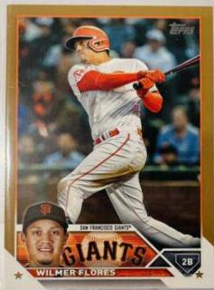 Wilmer Flores