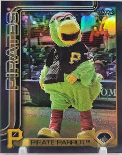 Pirate Parrot