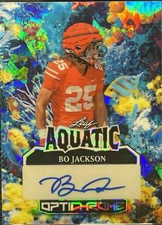 Bo Jackson