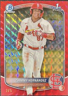 Sammy Hernandez