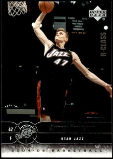 Andrei Kirilenko