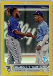 Vladimir Guerrero Jr.