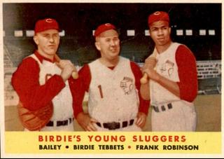 Birdie's Young Sluggers