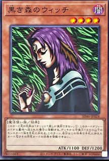 Witch of the Black Forest SD46-JP024