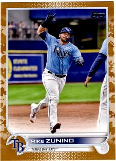 Mike Zunino