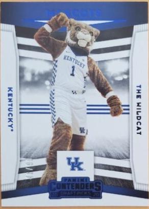 The Wildcat [Purple] #19