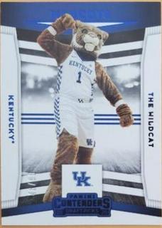 The Wildcat