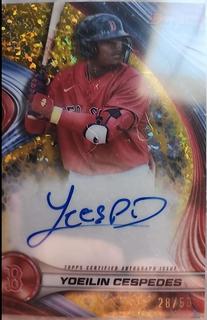 Yoeilin Cespedes