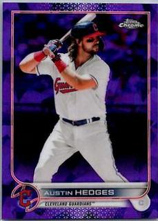 Austin Hedges