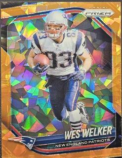 Wes Welker