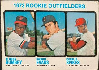 1973 Rookie Outfielders