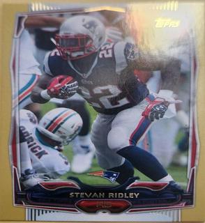 Stevan Ridley