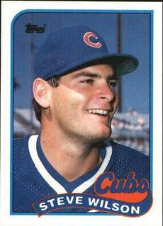 Steve Wilson