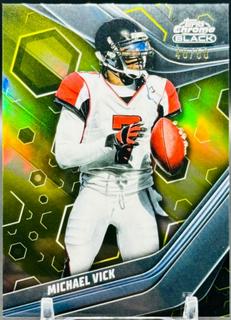 Michael Vick
