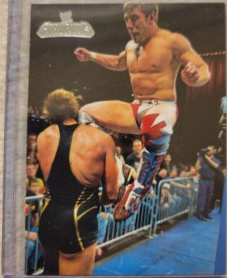 Daniel Bryan #81 Wrestling Cards 2011 Topps WWE Champions